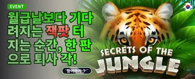 인기 슬롯 200회 무료 스핀 promotion image